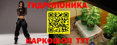 амф Коммунар