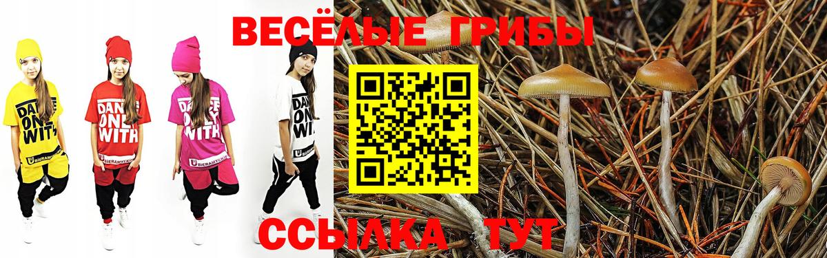 Феодосия  Псилоцибиновые грибы Magic Shrooms  Вход с VPN  Галлюциногенные грибы MAGIC MUSHROOMS 