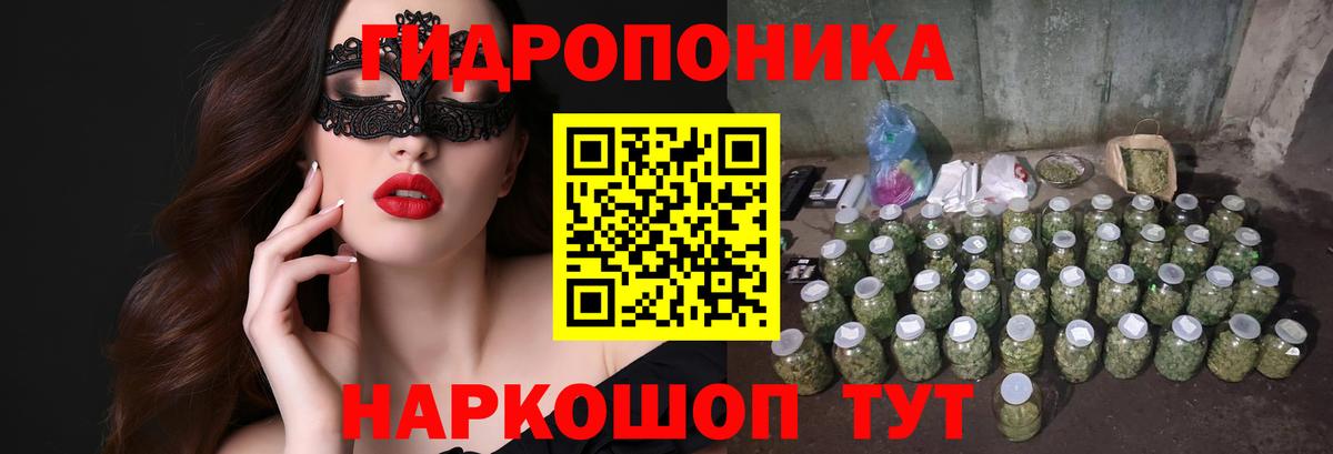 Бошки марихуана сатива Феодосия